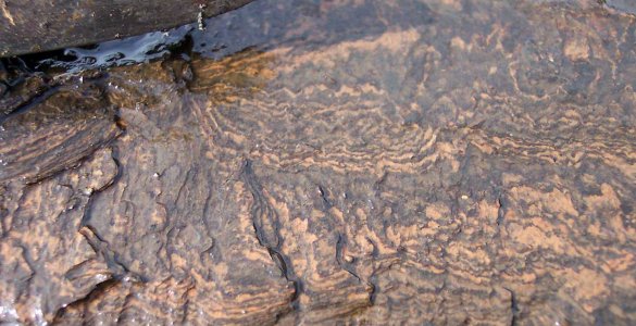 Petrole Schiste Wikimedia