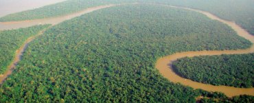 Aerial_view_of_the_Amazon_Rainforest Wikimedia