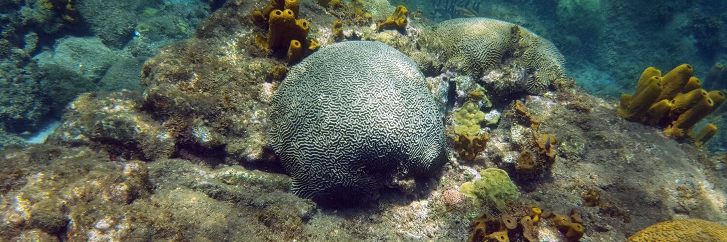 Creuser des mines au fond des océans, nouvelle frontière industrielle