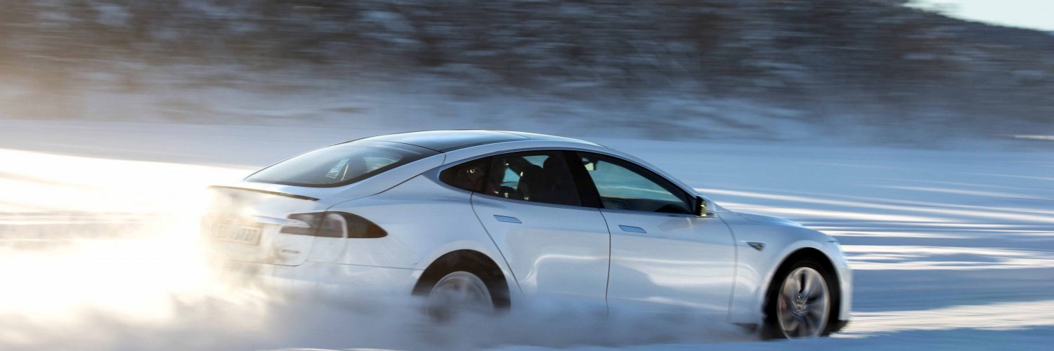 Tesla dans la neige