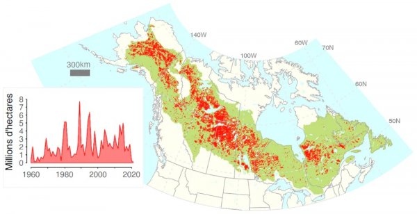 Les forêts boréales nord-américaines brûlent beaucoup, mais moins qu’il y a 150 ans…