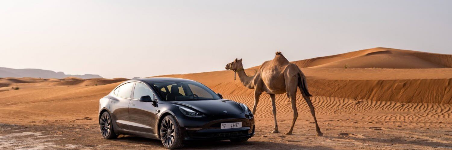 Les batteries des véhicules électriques n’aiment pas les canicules