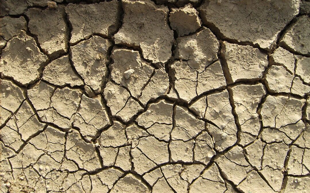 Prévoir les sécheresses et les inondations, est-ce possible ?