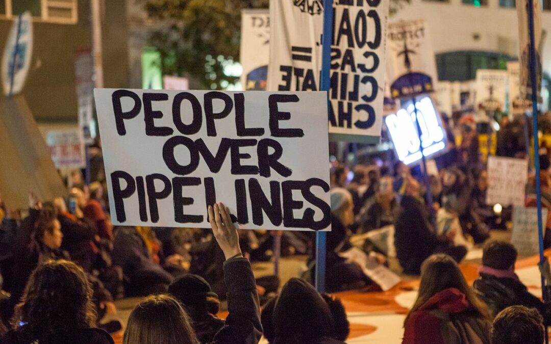 Greenpeace vient de perdre son totem d’immunité