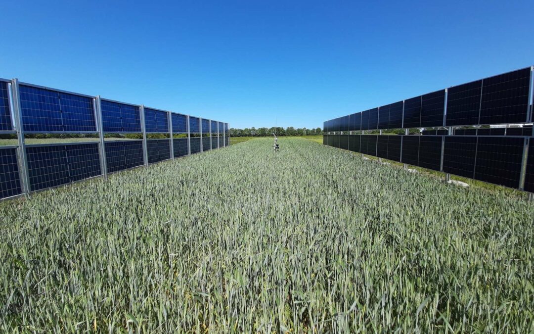Photovoltaïque et agriculture, faits pour s’entendre