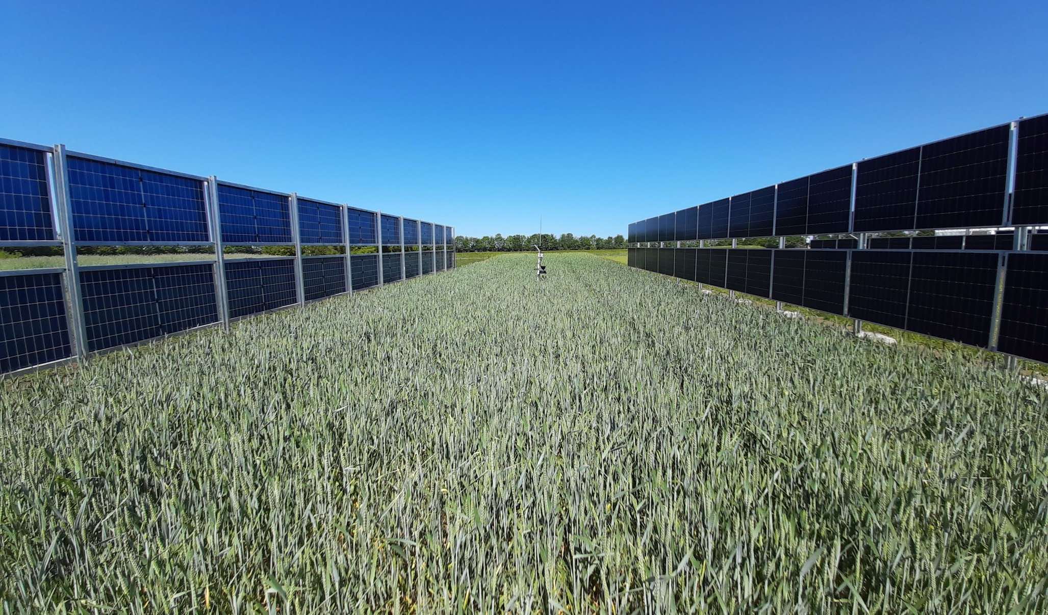 <i class='fa fa-lock' aria-hidden='true'></i> Photovoltaïque et agriculture, faits pour s’entendre
