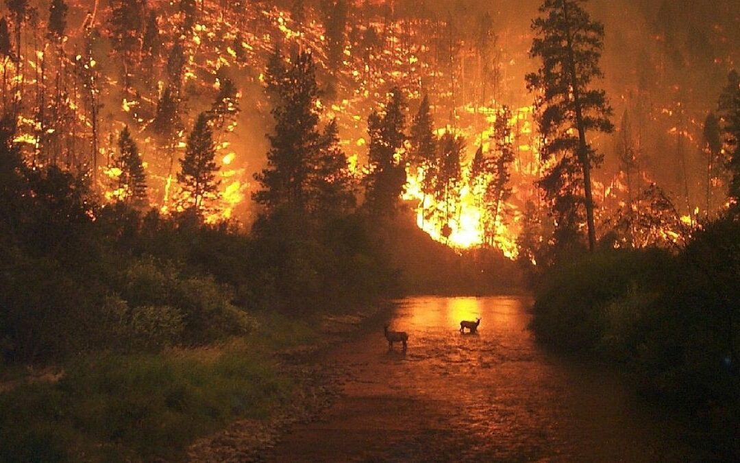 À la fin, qui prendra en charge le coût des assurances ?