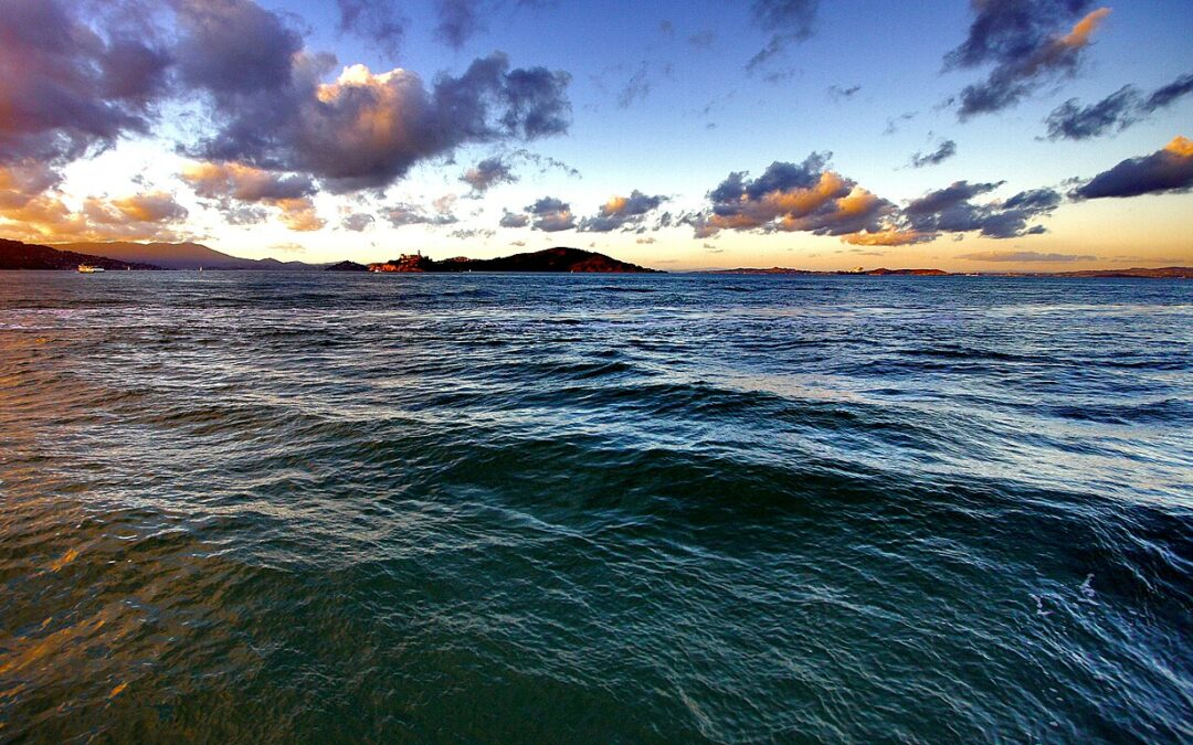 Éliminer le CO₂ grâce au puits de carbone océanique, une bonne idée ?