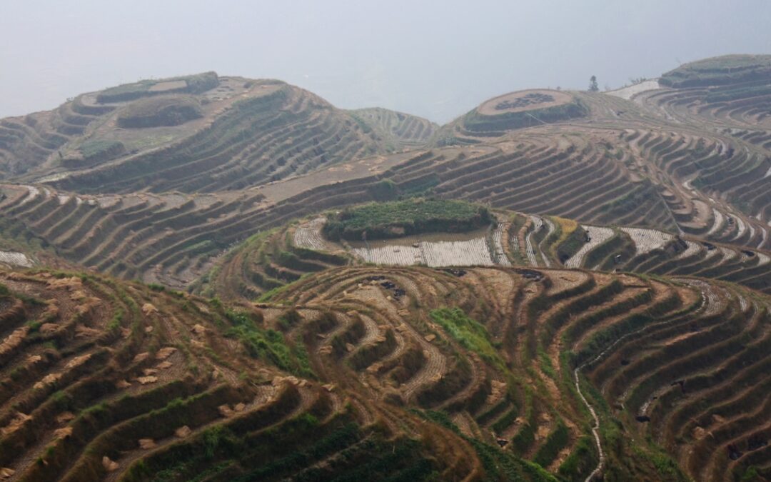 Aliments: le changement climatique modifie la biodisponibilité des (micro)nutriments