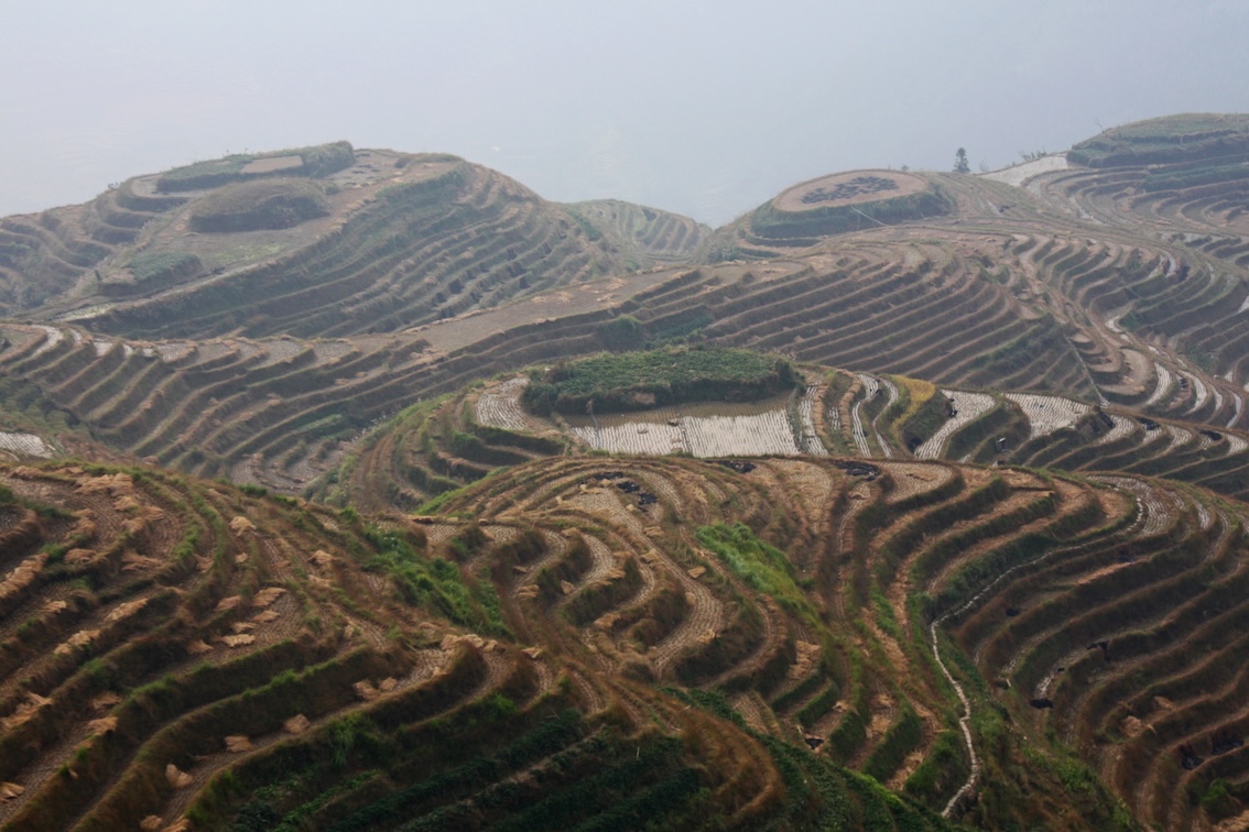 Aliments: le changement climatique modifie la biodisponibilité des (micro)nutriments