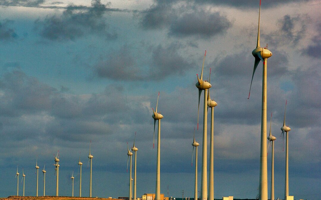 Brésil, Golfe persique: les nouveaux hubs de la transition énergétique